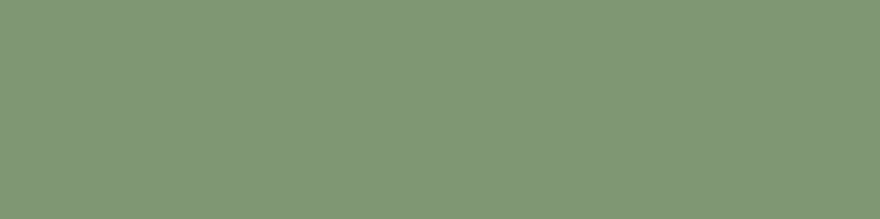Плинтус Керамин Моноколор 4 зеленый 14.5x60
