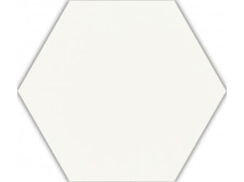 Shiny Lines (Paradyz)