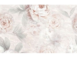 Пионы (PiezaROSA)