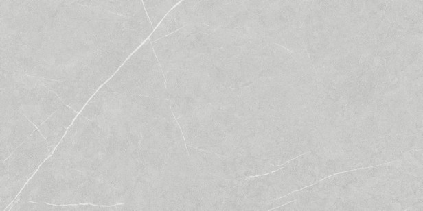 Керамогранит Living Ceramics Allure Light Grey Anti-Slip 60x120 LV11163