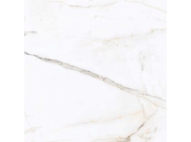Regal (Primavera)