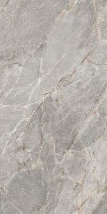 Керамогранит Azulejos Benadresa Majestic Grey Silky 60x120 N174237