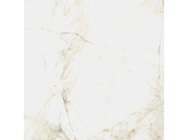 Canova (Coliseumgres)