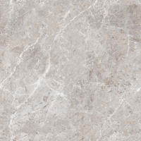Керамогранит Ocean Ceramic Infinity Panama Natural 60x60 OC0000224 Керамогранит Ocean Ceramic Infinity Panama Natural 60x60 OC0000224