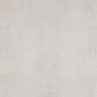 Обои BN International Curious 17958 0.53x10.05 виниловые