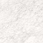 Керамогранит Ceramiche Piemme Majestic Apuanian White Nat Ret 60x60 02569