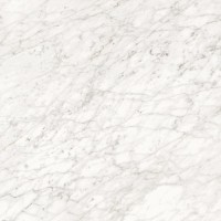 Керамогранит Ceramiche Piemme Majestic Apuanian White Nat Ret 60x60 02569