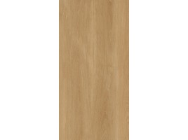 Albero (Protiles)