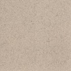 Керамогранит Imola Ceramica Parade Beige 120x120 PRDE RB120B RM