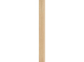 Wood Basic (Paradyz)