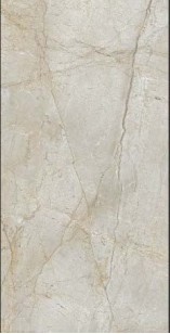 Керамогранит RAK Ceramics Royal Marble Light Grey 60x120 