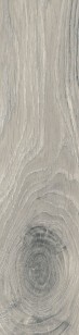Timeless Ivory