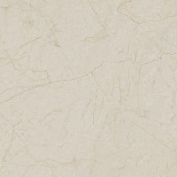 Керамогранит Arcana Ceramica Black And Cream Cream-R Dune 59.3x59.3 ARC_88S3 Керамогранит Arcana Ceramica Black And Cream Cream-R Dune 59.3x59.3 ARC_88S3