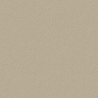 Керамогранит Revoir Paris Si Bel Chataigne Uni Clair 59.3x59.3 VVS6060_006