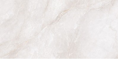 Керамогранит Neodom Marble Orobico Bianco Polished 60x120 N20482 Керамогранит Neodom Marble Orobico Bianco Polished 60x120 N20482