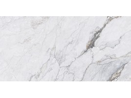 Brechialunar (Navarti)