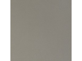 Monocolour (Sal Sapiente)