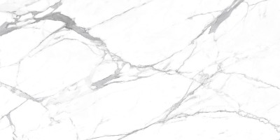 Керамогранит Ceradim Carrara Terrific Silver Белый Матовый 60x120