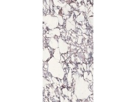 Bulgari Purple (Delfone)