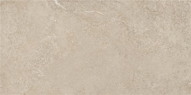 Керамогранит STN Ceramica Arenite Natural Mt 60x120 CAN5AREIQDOA