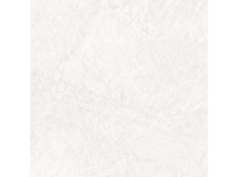 Tradishion Pro (Laparet)