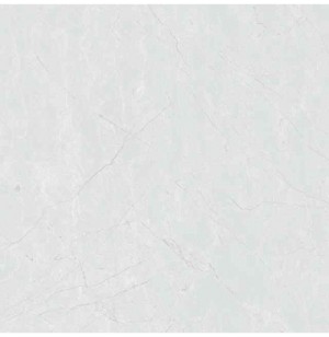 Керамогранит LV Granito RS 123 White Carving 60x60