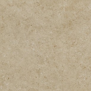 Bera And Beren Biscuit Antislip