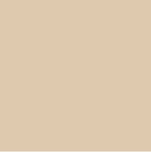 Monocolor Beige Mat