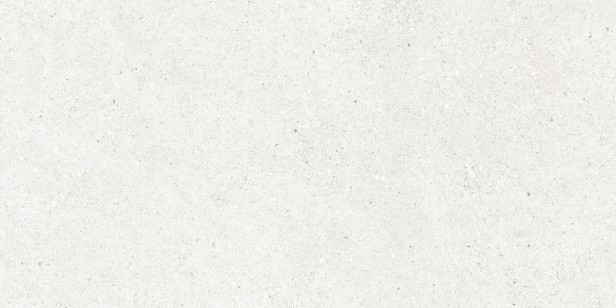 Керамогранит Ceradim Perla Bianco Светло-Серый Матовый 59.5x119.1 CR6012G0481R