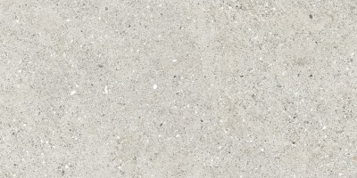 Керамогранит Ceradim Granito Grigio Серый Матовый 59.5x119.1 CR6012G0471R Керамогранит Ceradim Granito Grigio Серый Матовый 59.5x119.1 CR6012G0471R