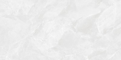 Керамогранит Ceradim Regnum Bianco Светло-Серый Матовый 59.5x119.1 CR6012G0401R Керамогранит Ceradim Regnum Bianco Светло-Серый Матовый 59.5x119.1 CR6012G0401R