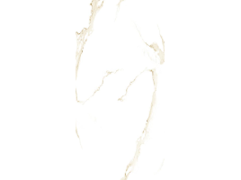 Calacatta Gold (Orient Ceramic)