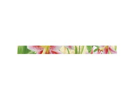 Lily (Belleza)