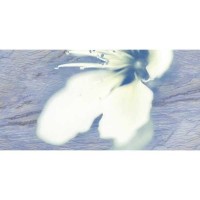 Декор Нефрит-Керамика Реноме голубой 25х50 04-01-1-10-03-61-222-0