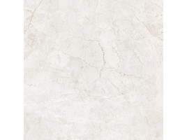 Mega Silver (Belleza)