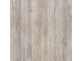 Shabby (Azori)