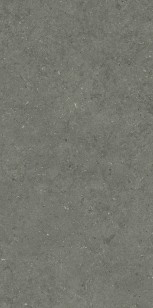 Керамогранит Italon Forum Stone Iron 60x120 610010004169