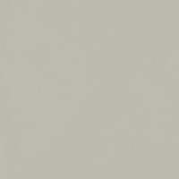 Керамогранит Italon Forum Slim Silver 120x120 610010004198