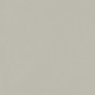 Керамогранит Italon Forum Slim Silver 120x120 610010004198