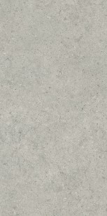 Керамогранит Italon Forum Stone Silver 60x120 610010004168