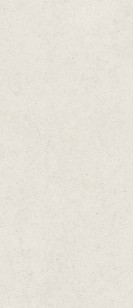 Керамогранит Italon Forum Stone Polar 120x278 600180000081