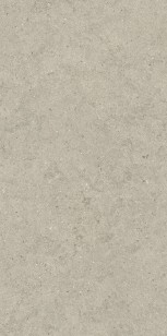 Керамогранит Italon Forum Stone Desert 60x120 610010004170