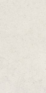 Керамогранит Italon Forum Stone Polar 60x120 610010004166