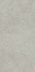 Керамогранит Italon Forum Wave Silver 60x120 610010004162