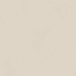 Керамогранит Italon Forum Slim Pure 80x80 610010004137