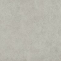Керамогранит Italon Forum Wave Silver 120x120 610010004204