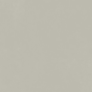 Керамогранит Italon Forum Slim Silver 80x80 610010004138