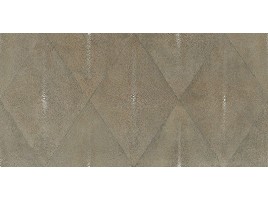Shagreen (Aparici)