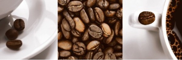 Декор Aparici Solid-Zero Cafe Decor B 25.1x75.6 8430828210473 Декор Aparici Solid-Zero Cafe Decor B 25.1x75.6 8430828210473