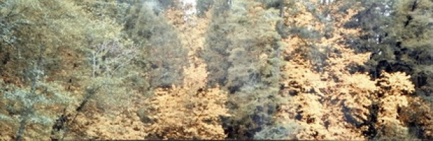 Декор Aparici Solid-Zero View Decor D 25.1x75.6 10014 Декор Aparici Solid-Zero View Decor D 25.1x75.6 10014